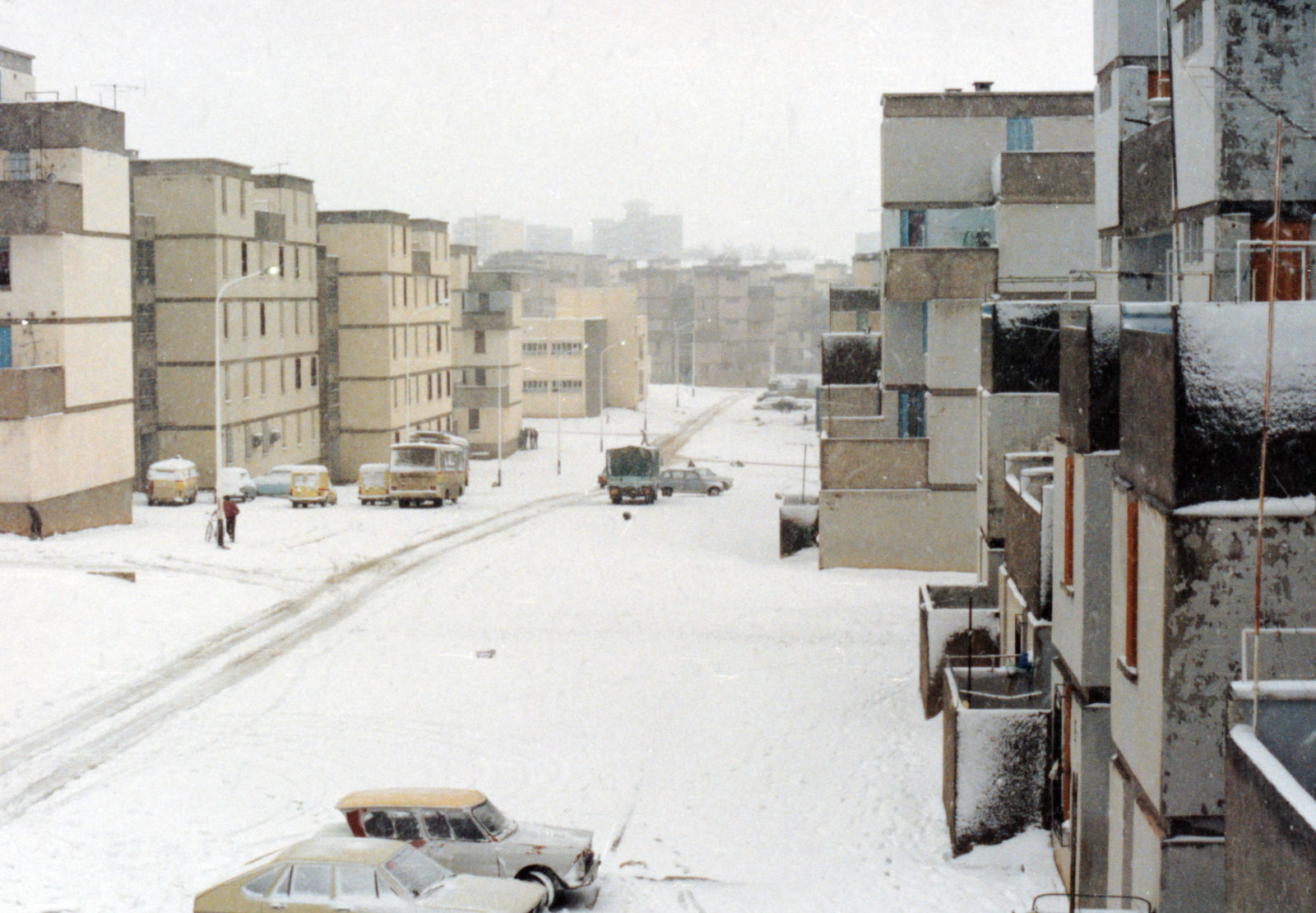 Snow in Setif Algeria